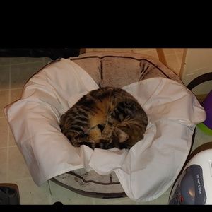 Meet your Posher, Katherine